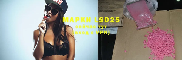 прущие крисы Надым