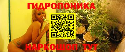 молекула духа Гусь-Хрустальный