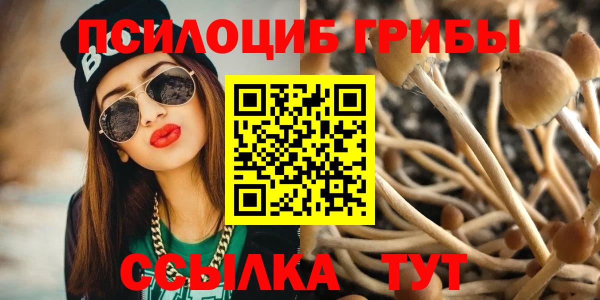 Галлюциногенные грибы Psilocybine cubensis  купить  сайты  Можайск  Псилоцибиновые грибы GOLDEN TEACHER 