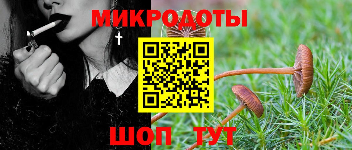 Псилоцибиновые грибы MAGIC MUSHROOMS Можайск